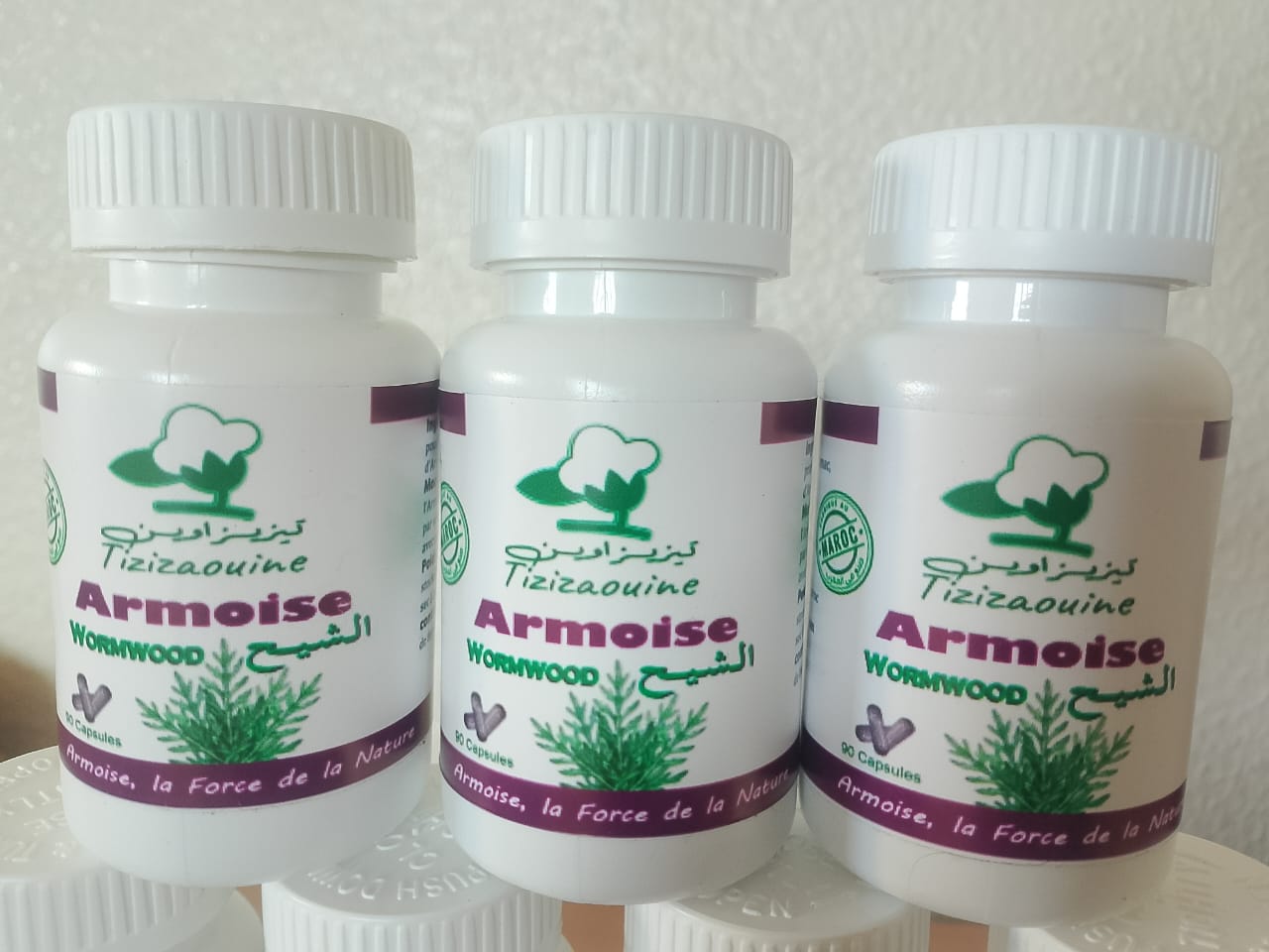 Flacon de capsules d'Armoise Tizizaouine